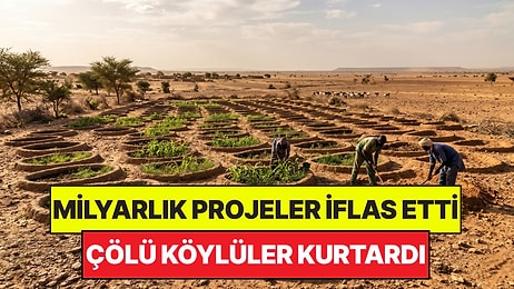 Çölü Kurtarmak İçin Yapılan Milyarlık Projeler İflas Etti: Çözümü Köylüler Buldu