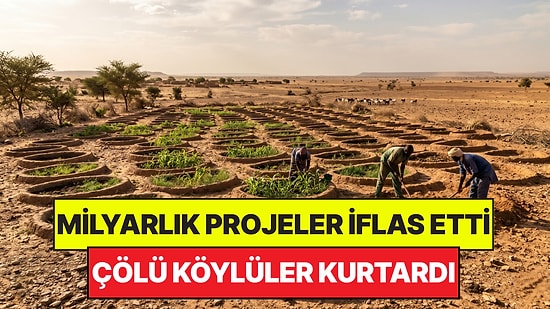 Çölü Kurtarmak İçin Yapılan Milyarlık Projeler İflas Etti: Çözümü Köylüler Buldu