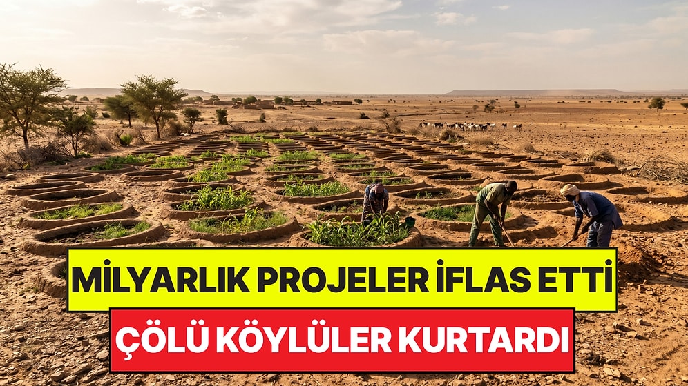 Çölü Kurtarmak İçin Yapılan Milyarlık Projeler İflas Etti: Çözümü Köylüler Buldu