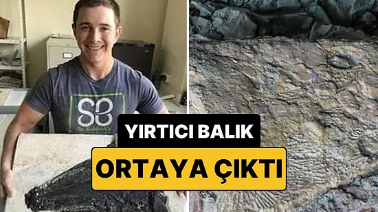 Liseli Öğrencinin İlginç Keşfi: 52 Milyon Yıllık Dev Yırtıcı Balık Kafatası Gün Yüzüne Çıktı