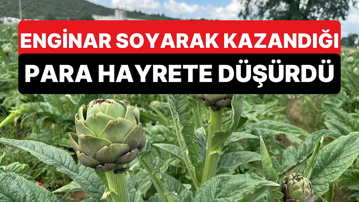 İlginç Meslekle Kazandığı Para Şaşırttı: Enginar Soyarak Ayd