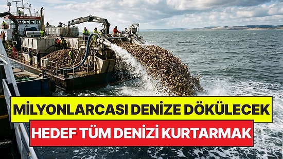 Denizi Kurtarmak İçin Suya 15 Milyon İstiridye Bırakacaklar: Hedefte Milyarlar Var