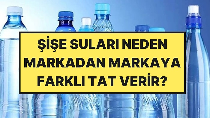 "Su Sudur" Diyenler Yanılıyor: İşte Her Su Markasının Tadının Farklı Olmasının Nedeni
