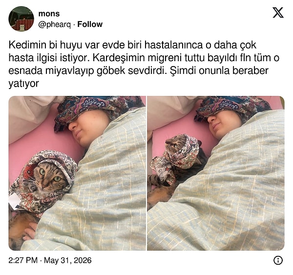 Kapatalım 👋