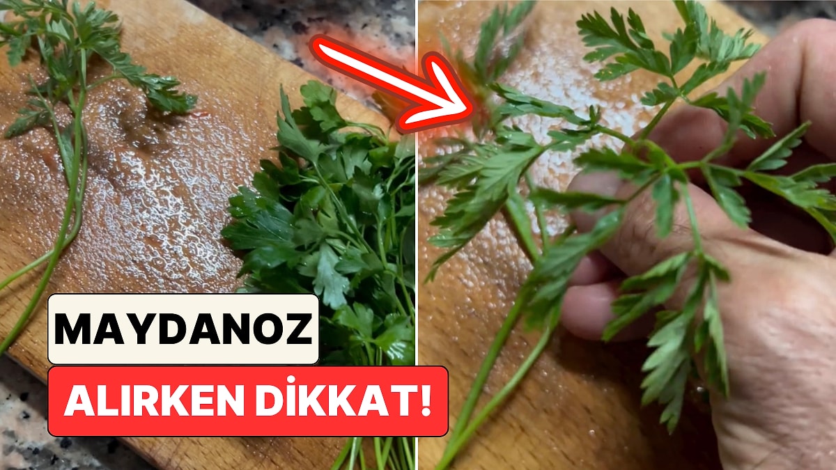 Pazardan alınan maydanozun içinden ölümcül baldıran otu çıktı
