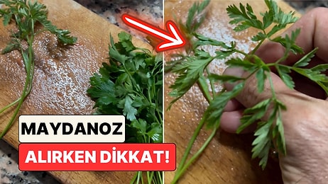 Sebze Alışverişi Yaparken Dikkat! Pazardan Alınan Maydanozun İçinden Ölümcül Baldıran Otu Çıktı