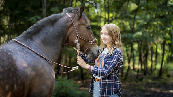 Wild Heart (Ponyherz) (2023)