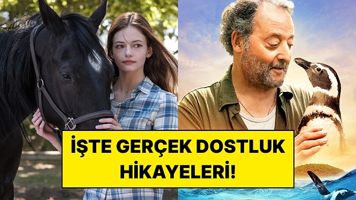 Bu Filmler İçinizi Isıtacak: Kalbinize Dokunacak 15 Muazzam Hayvan Dostluğu Hikayesi
