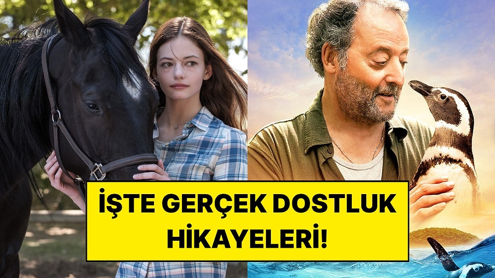 Bu Filmler İçinizi Isıtacak: Kalbinize Dokunacak 15 Muazzam Hayvan Dostluğu Hikayesi