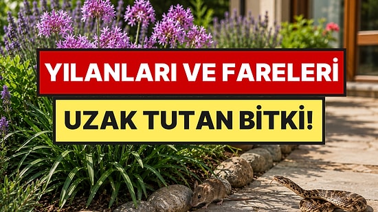 Bahçenize Bir Tane Dikin: Yılanlar ve Fareler Evinizin Yolunu Unutacak