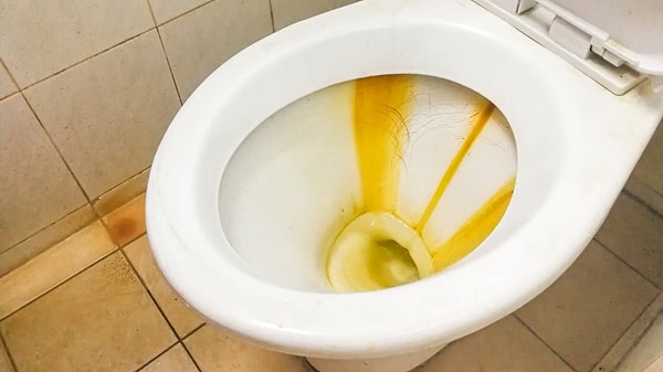 How to Clean a Toilet with Citric Acid?