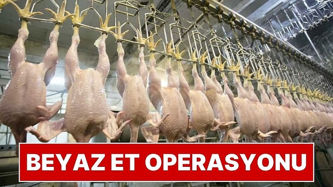 Beyaz Et Sektöründe Büyük Operasyon: 13 Şirkete Kayyum Atandı