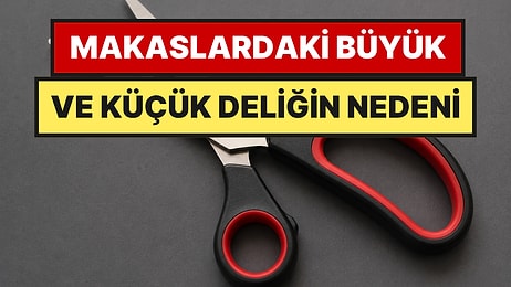 Makas Deliklerinin Eşit Olmamasının Sebebi Buymuş