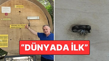 Kadıköy’de Bakkal Önünde Dikkat Çeken Dev Arı Kovanı: “Dünyada Bir İlk”