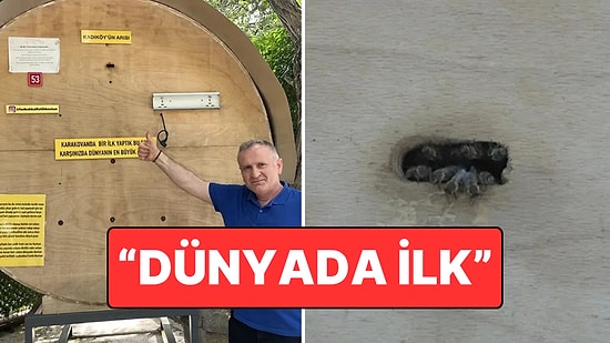 Kadıköy’de Bakkal Önünde Dikkat Çeken Dev Arı Kovanı: “Dünyada Bir İlk”