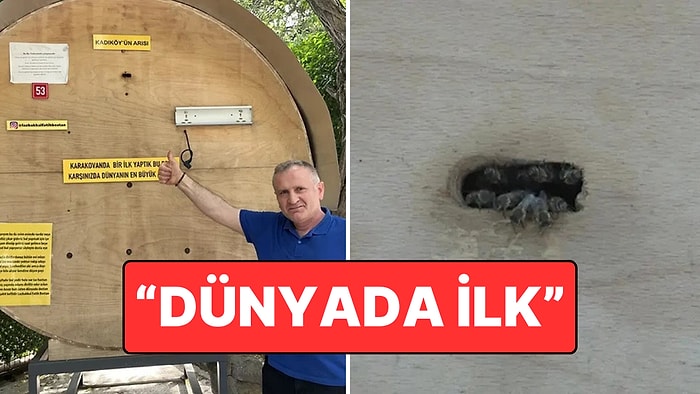 Kadıköy’de Bakkal Önünde Dikkat Çeken Dev Arı Kovanı: “Dünyada Bir İlk”