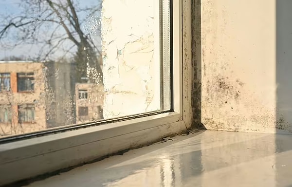 Küfün nedeni çoğu zaman nem ve yoğuşma