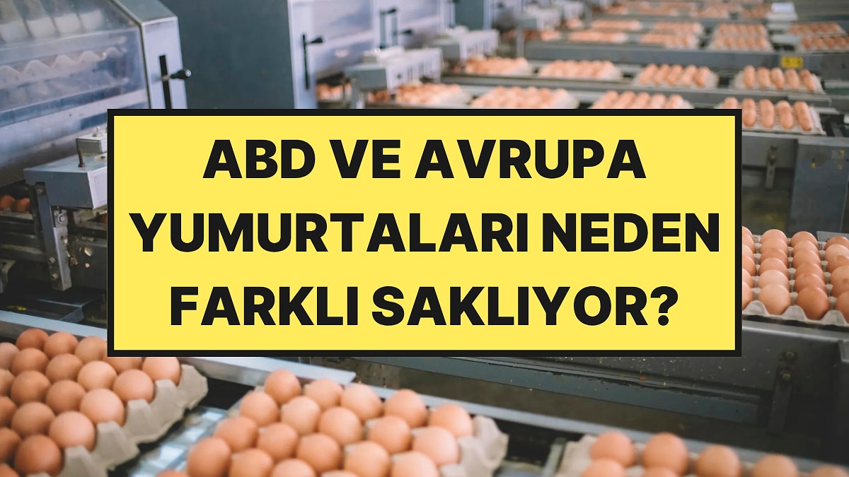 Yumurtaların Avrupa ve ABD'de Farklı Saklanmasının Nedeni Ortaya Çıktı