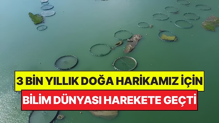 Dünyada Eşi Benzeri Yok: Türkiye'deki 3 Bin Yıllık Doğa Harikası İçin Bilim Dünyası Harekete Geçti