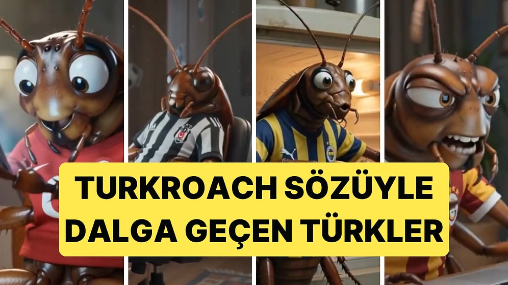 Sosyal Medyada Türklere Hakaret İçin Üretilen İçerikler Türklerin Dalga Geçmesiyle Tersine Döndü