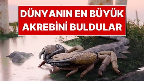 Köpek Boyutunda Dev Akrep Türü Tespit Edildi: Kıskaçları Bile 16 Santimetreydi