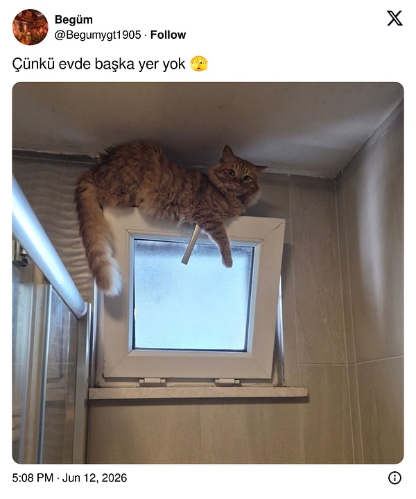 Serin yeri bulmuştur.