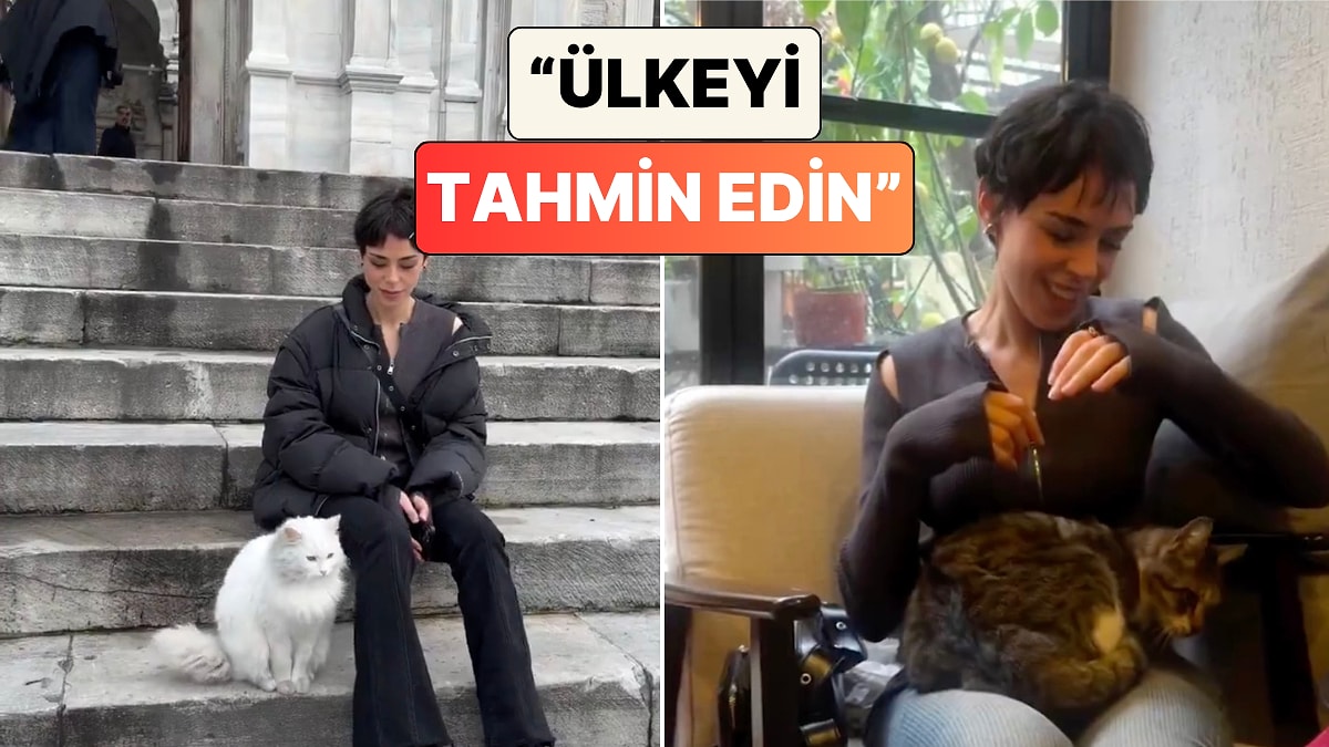 Bir Turist Türkiye Sokaklarında Özgürce Yaşayan Kedilerin Gülümseten Günlük Hayatını Paylaştı