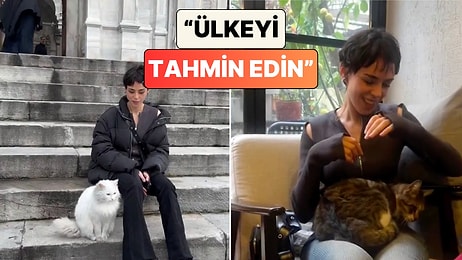 Bir Turist Türkiye Sokaklarında Özgürce Yaşayan Kedilerin Gülümseten Günlük Hayatını Paylaştı