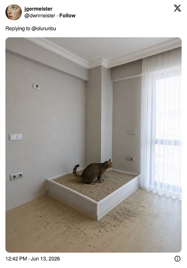 İşlevsellik.