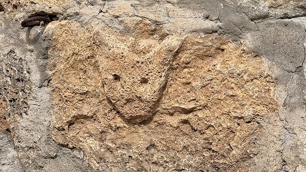 Taş Duvarlara Kazınan Motifler Toplumsal Değerleri Ve Mesajları Simgeliyor