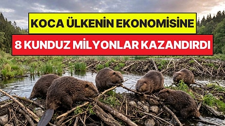Koca Ülkeye 8 Tane Kunduz Milyonlar Kazandırdı: Dev Projeyi Hayvanlar Tamamladı