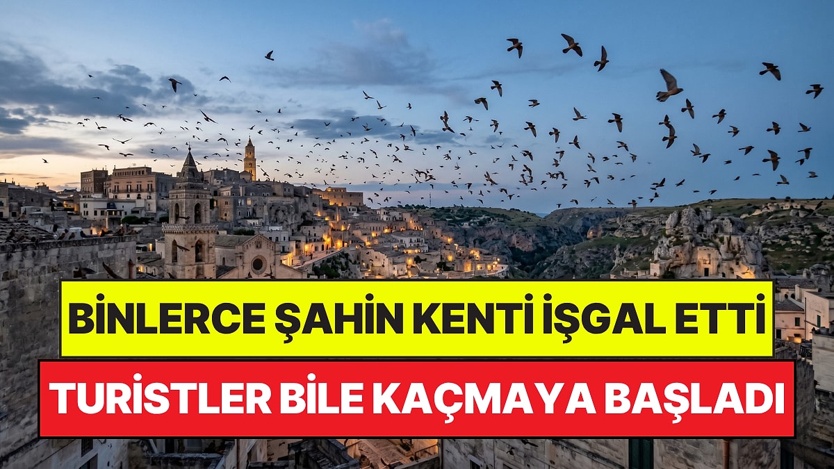 Tarihi Matera kentini binlerce yırtıcı kuş işgal etti