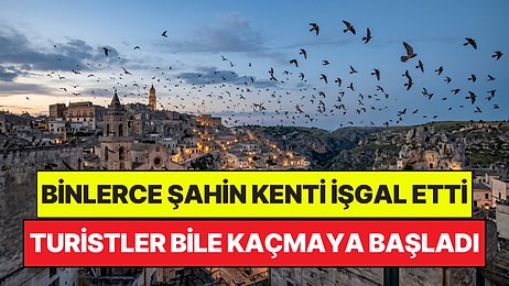 Tarihi Kenti Binlerce Yırtıcı Kuş İşgal Etti: Belediye Ne Yapacağını Bilmiyor