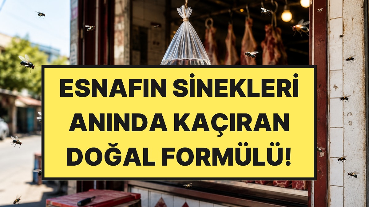 Kasapların sinekleri kaçırmak için kullandığı yöntem şaşırttı