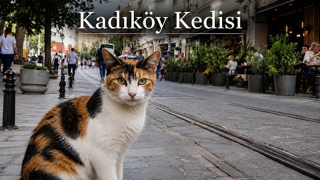 İstanbul Kedi Rehberi: İstanbul’da Semtlere Göre Nasıl Kedilerle Karşılaşırsınız?