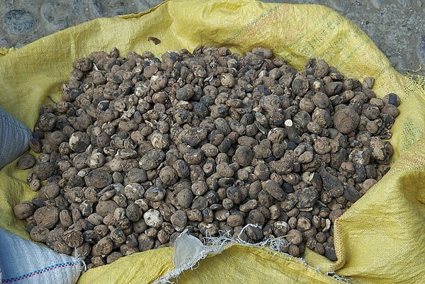 And Dağları’nın zorlu iklim koşullarında yaşayan eski topluluklar, taze patateslerin uzun süre dayanmadığını fark ederek benzersiz bir saklama tekniği geliştirdi.