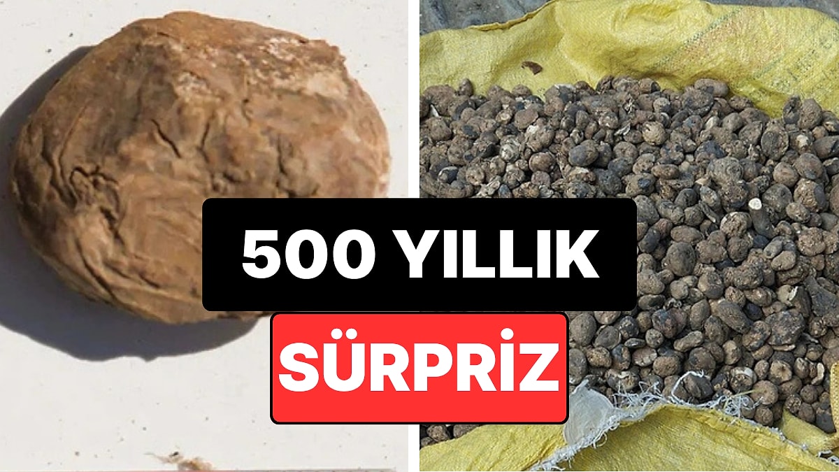 500 Yıllık Küpten Çıkan Şaşırtıcı Sır