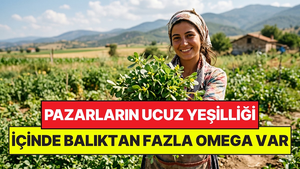 Pazardaki En Ucuz Yeşilliklerden: İçinde Balıktan Fazla Omega-3 Var