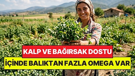 Pazardaki En Ucuz Yeşilliklerden: İçinde Balıktan Fazla Omega-3 Var