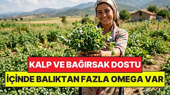 Pazardaki En Ucuz Yeşilliklerden: İçinde Balıktan Fazla Omega-3 Var
