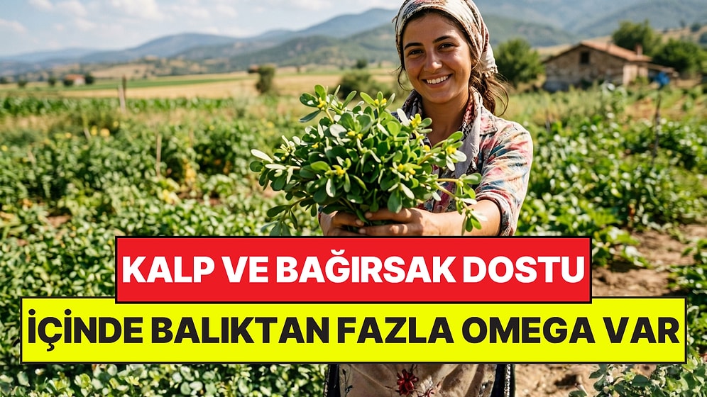 Pazardaki En Ucuz Yeşilliklerden: İçinde Balıktan Fazla Omega-3 Var