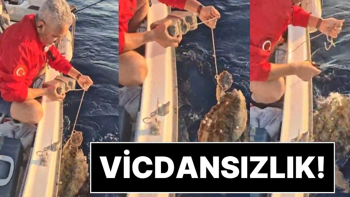 Böyle Vicdansızlık Görülmedi: Deniz Kaplumbağasının Ayağına Kaldırım Taşı Bağlamışlar