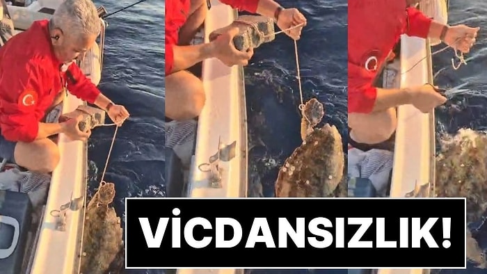 Böyle Vicdansızlık Görülmedi: Deniz Kaplumbağasının Ayağına Kaldırım Taşı Bağlamışlar