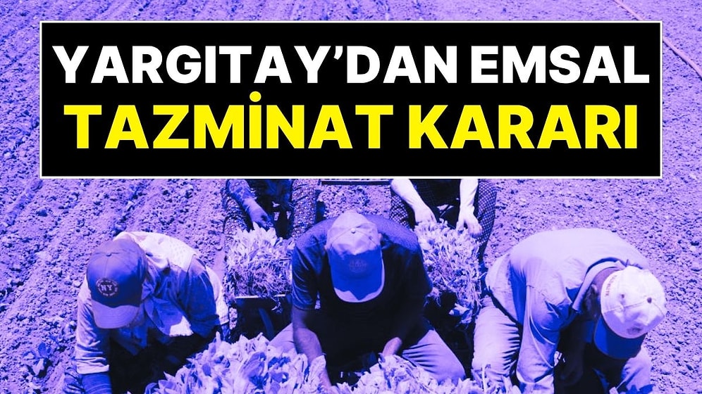 Yargıtay’dan Emsal Karar: Artık Ev Hizmetleri Çalışanları ve Tarım İşçileri de Tazminat Alacak