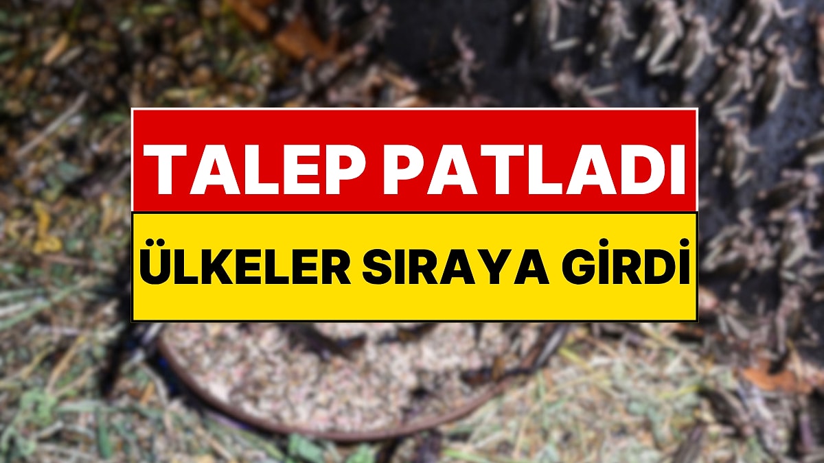 Türkiye Böcek Üretiyor: Ülkeler Almak İçin Sıraya Girdi