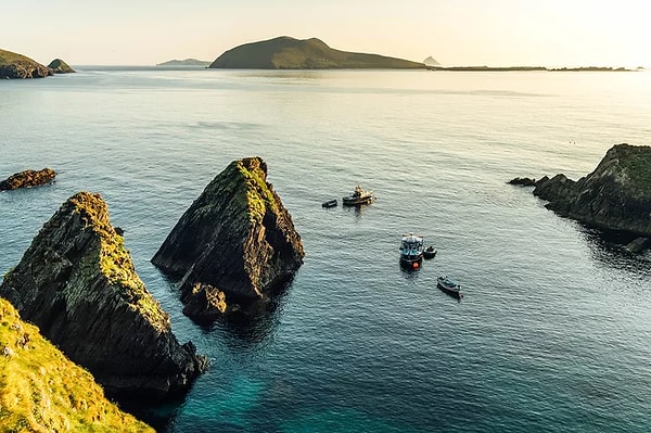 Amaç adalardaki nüfusu yeniden artırmak