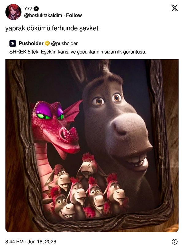 Her şeye uyan o dizi...
