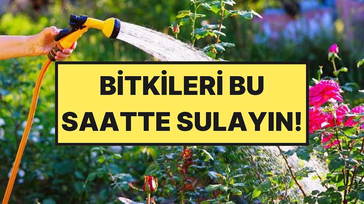 Bahçe Uzmanları Yazın Bitki Sulamanın En Doğru Saatini Açıkladı