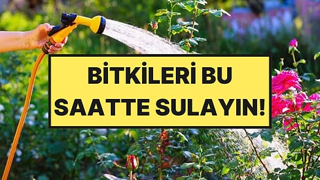 Bahçe Uzmanları Yazın Bitki Sulamanın En Doğru Saatini Açıkladı
