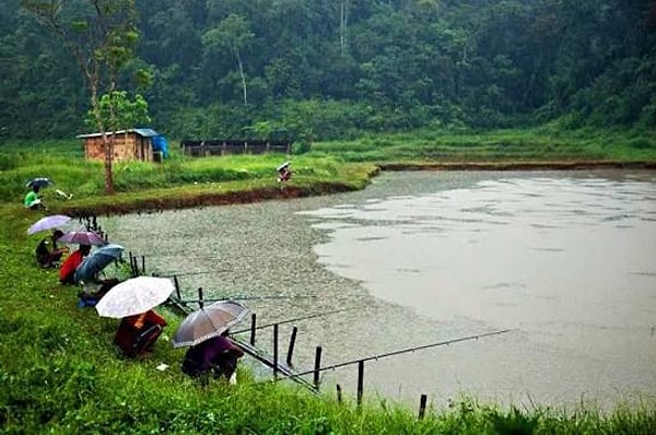 2. Cherrapunji, Hindistan - Yıllık Ortalama 11.430 mm